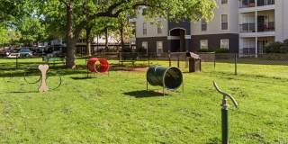 Oak Forest Gallery 7