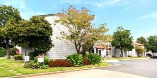 Ashford Terrace Gallery 6