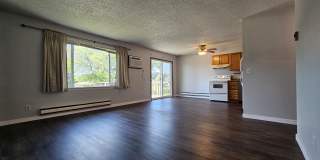 2885 Springreen Drive - 4 Gallery 1