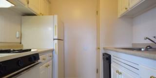 Graduate and Professional Gallery 105