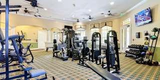 Beautiful 2BR Condo in Desirable Courtney Palms Gallery 19