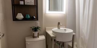 Vivo Living Gallery 8