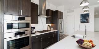 Cortland M-Line Gallery 42