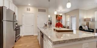 Latitude 31 Gallery 3
