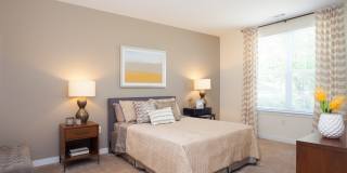 Berry Farms Gallery 6