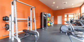 Ravenswood Gallery 23