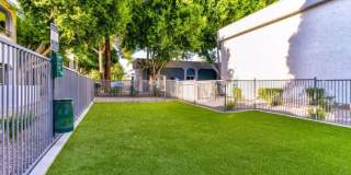 Vantage Point Gallery 14
