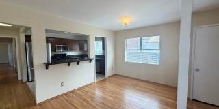 College View Estates Home - Spacious, Bright, and Beautiful Living Gallery 6