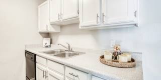 Legacy Pines Gallery 5