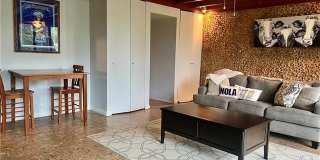 115 GRENADINE Street Gallery 20