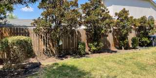 Bright & Spacious 3BR/2.5BA with Loft and Two-Car Garage in Sendero Springs Gallery 39