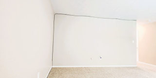 Twin Dolphins Gallery 11