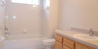 11116 Windsor Place Cir Gallery 16