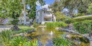Beautifully Updated 2-Bed, 2-Bath Condo in Serene San Ramon Setting Gallery 7