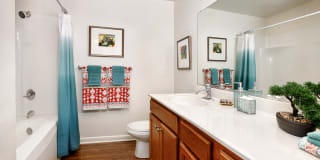 Springfield Apartments Springfield Apartments Gallery 17