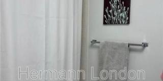 4501 Lindell Blvd Gallery 15