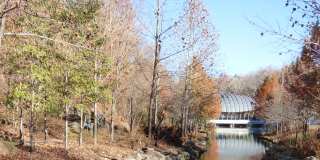 Crystal Flats Gallery 47