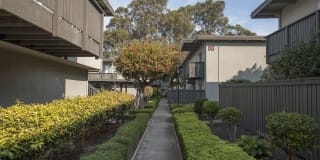 Monterey Townhouse Gallery 23