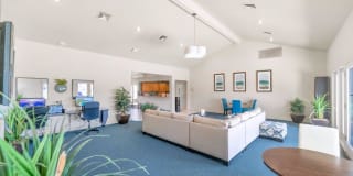 Lakeside Gallery 3