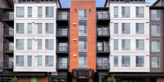 LINQ Lofts + Flats Gallery 6