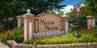 MaraLisa Meadows Gallery 1