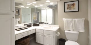 The Biltmore Gallery 25