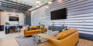 Altera Jacaranda Gallery 2