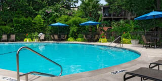 Creole on Yorktown Gallery 18