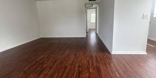 195 WINDSOR I Gallery 1
