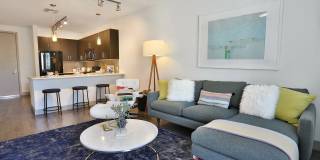 The Art on Highland Gallery 17