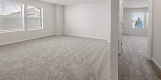 3327 Steadman Street Gallery 5