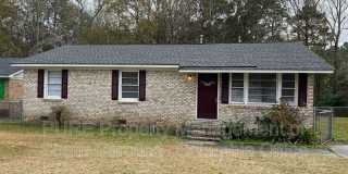 996 Chester Street Gallery 1