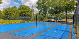 West End Flats Gallery 26