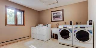 Wayzata Woods Gallery 22