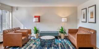 Houston - Westchase - Westheimer Gallery 22