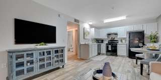 The Vittoria at Equestrian Apartments Gallery 12