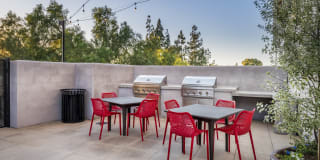 The Harrington Gallery 26