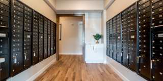Arris Lakeville Gallery 24