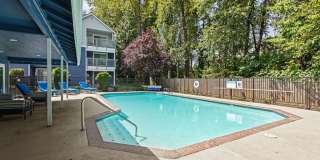 Avana Chestnut Hill Gallery 27