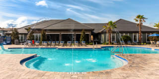 Azalea at West Melbourne Gallery 1