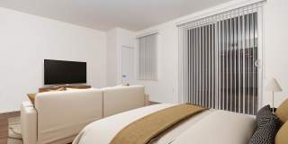 Vineyards Gallery 145