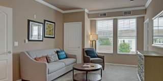 Stoneleigh at the Reserve Gallery 1