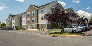 The Mill The Mill Gallery 1