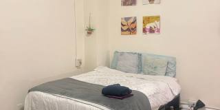 Student Housing - Newly Renovated Gallery 37