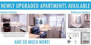 Springfield Apartments Springfield Apartments Gallery 13
