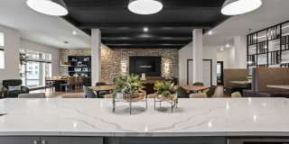 The Steadman Apartments Gallery 29