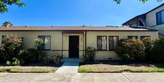 Spacious 2 bedroom, 2 bathroom Gallery 1