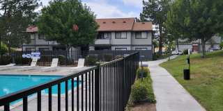 Dove Ridge Gallery 2