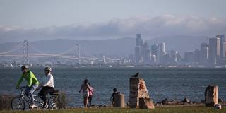 15 Shoreline Ct Gallery 3