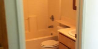 3 Bedroom 2 Bath Home in Mace Ranch Gallery 7